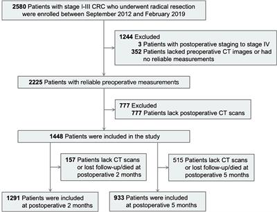 Bidirectional association between perioperative skeletal muscle and subcutaneous fat in colorectal cancer patients and their prognostic significance